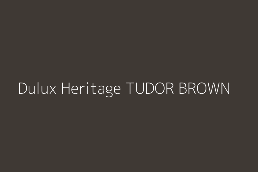 Dulux Heritage TUDOR BROWN represented in HEX code #3F3934