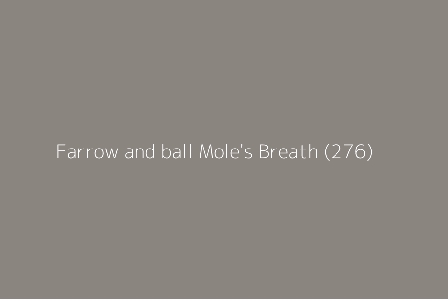 Farrow and ball Mole's Breath (276) represented in HEX code #8B857F