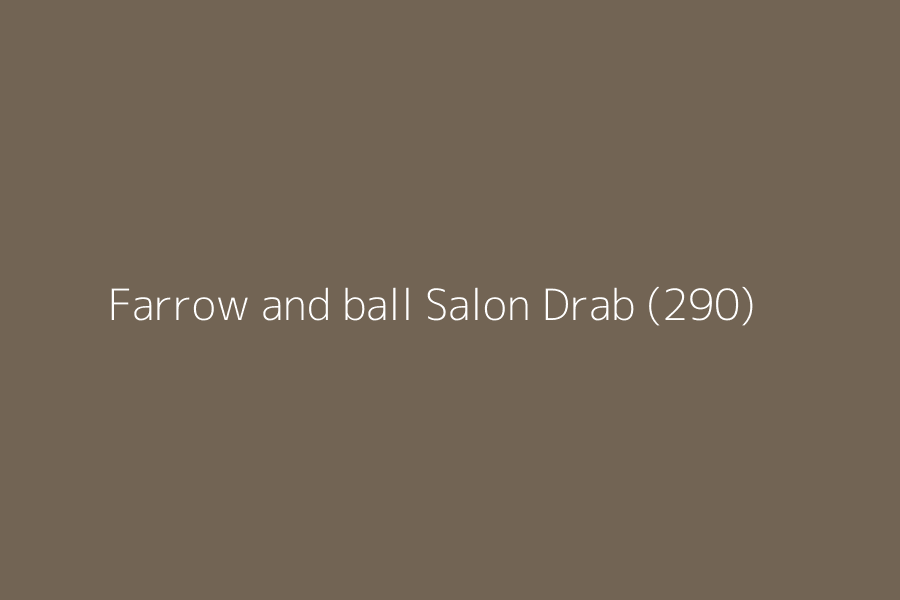 Farrow and ball Salon Drab (290) represented in HEX code #726454