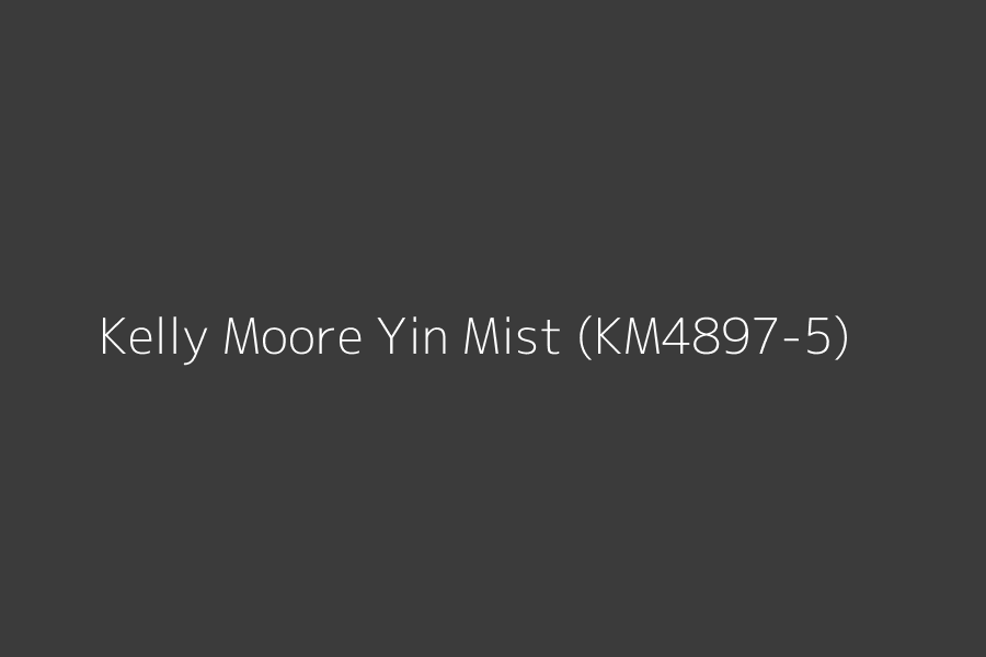 Kelly Moore Yin Mist (KM4897-5) represented in HEX code #3b3b3b