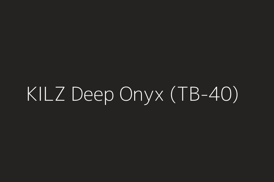 KILZ Deep Onyx (TB-40) represented in HEX code #242322