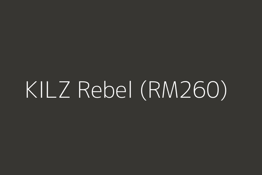 KILZ Rebel (RM260) represented in HEX code #373632