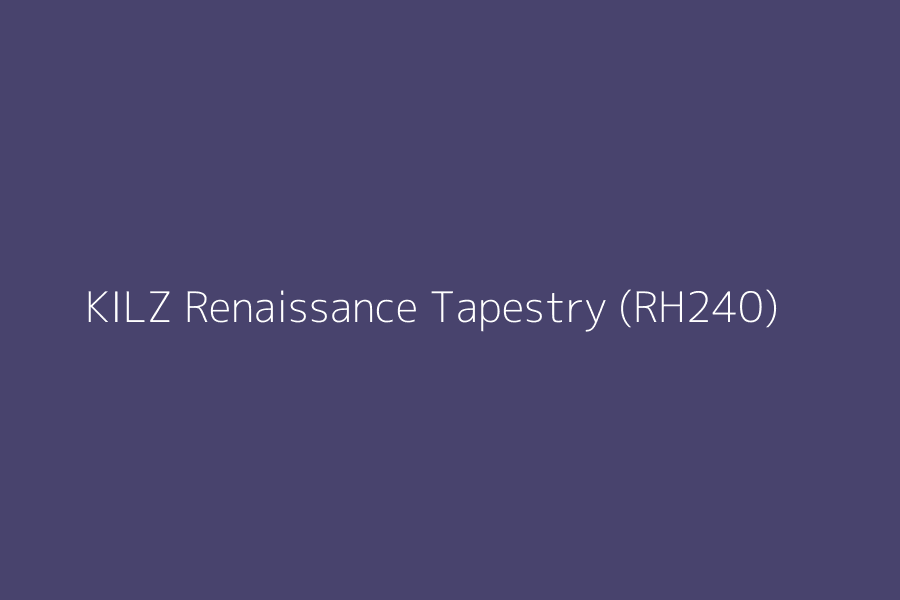 KILZ Renaissance Tapestry (RH240) represented in HEX code #48436D