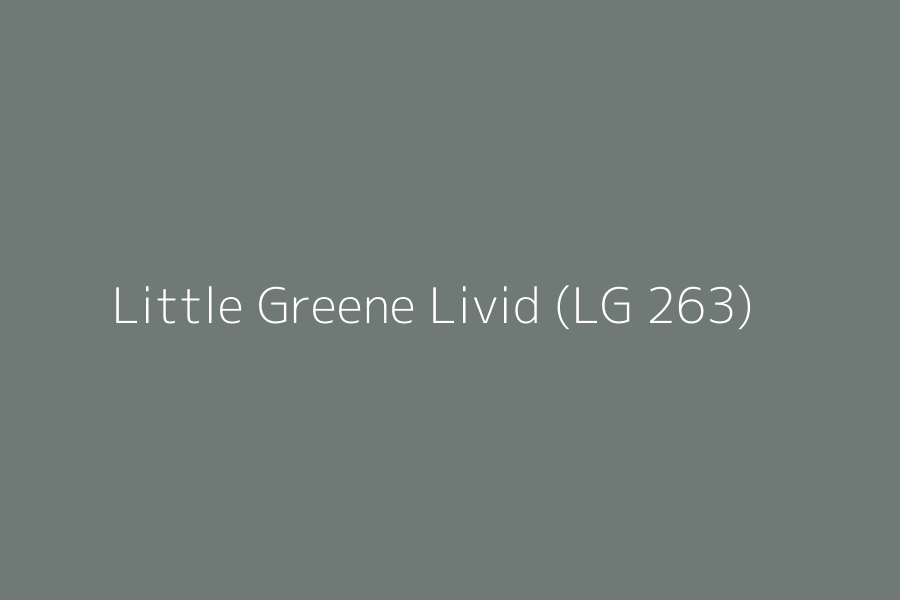 Little Greene Livid (LG 263) represented in HEX code #6f7a76