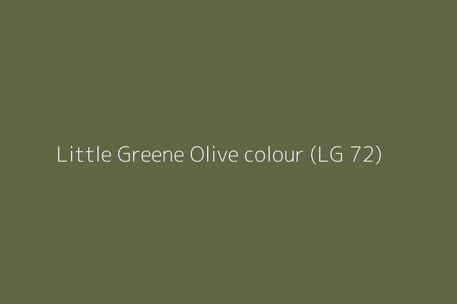 Little Greene Olive colour (LG 72) represented in HEX code #626446
