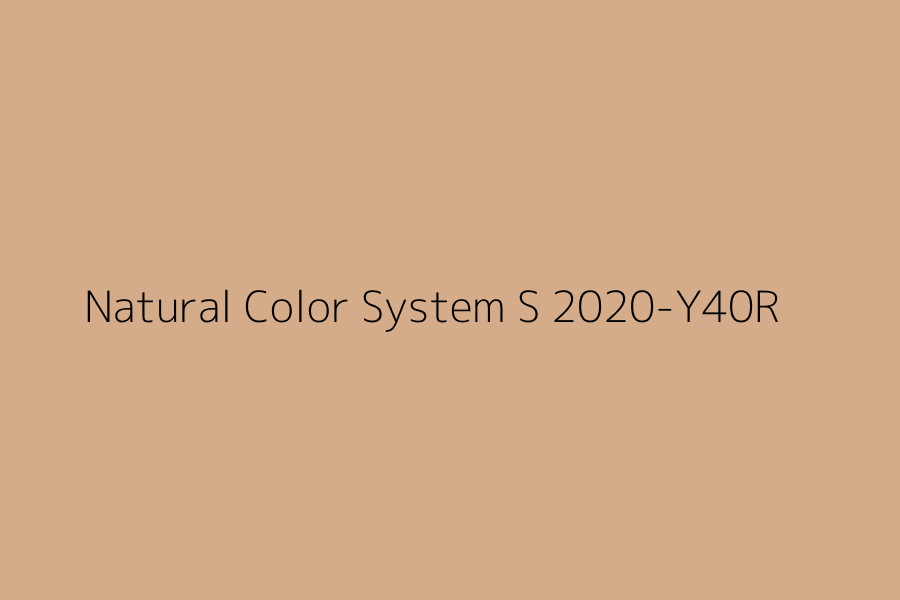 Natural Color System S 2020-Y40R represented in HEX code #D5AC89