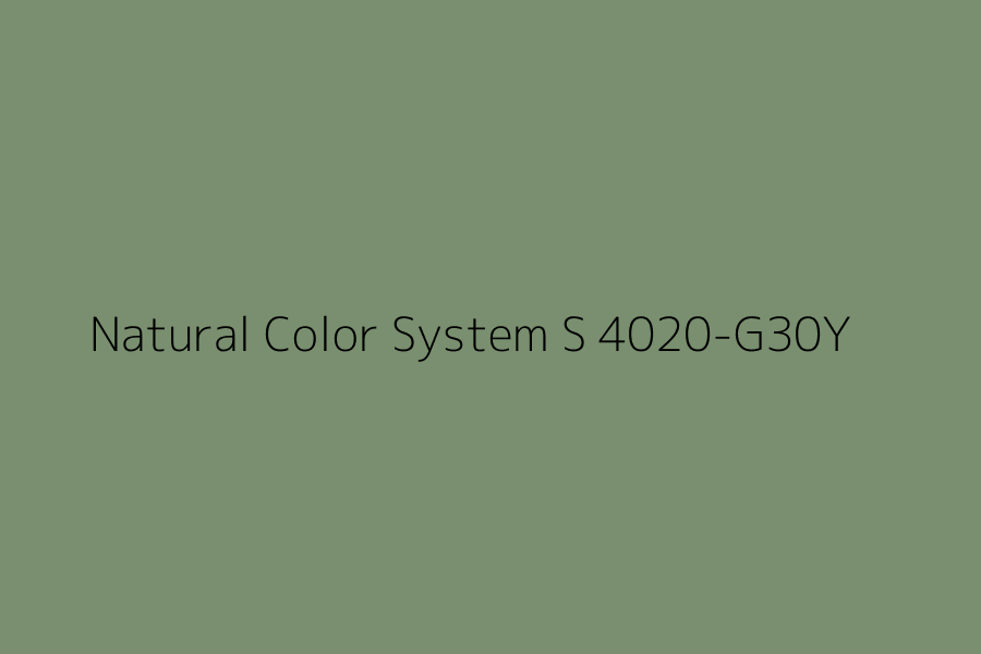 Natural Color System S 4020-G30Y represented in HEX code #798f6f