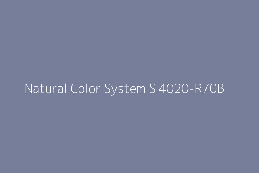Natural Color System S 4020-R70B represented in HEX code #767e9a