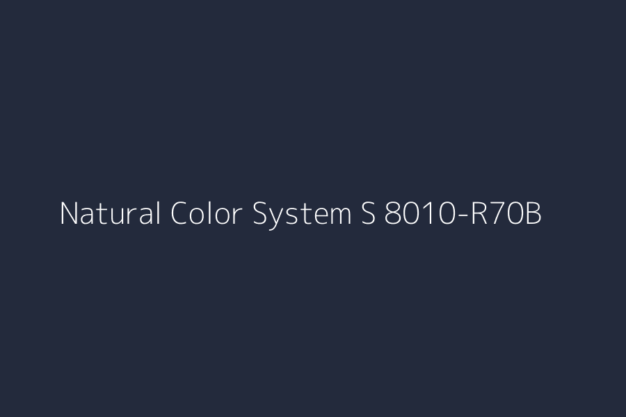 Natural Color System S 8010-R70B represented in HEX code #232a3c