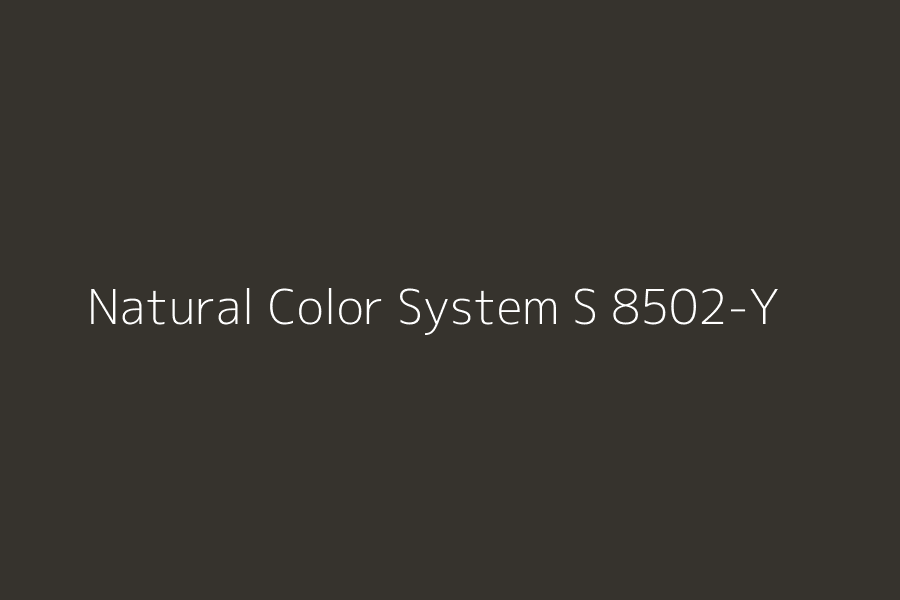 Natural Color System S 8502-Y represented in HEX code #36332D