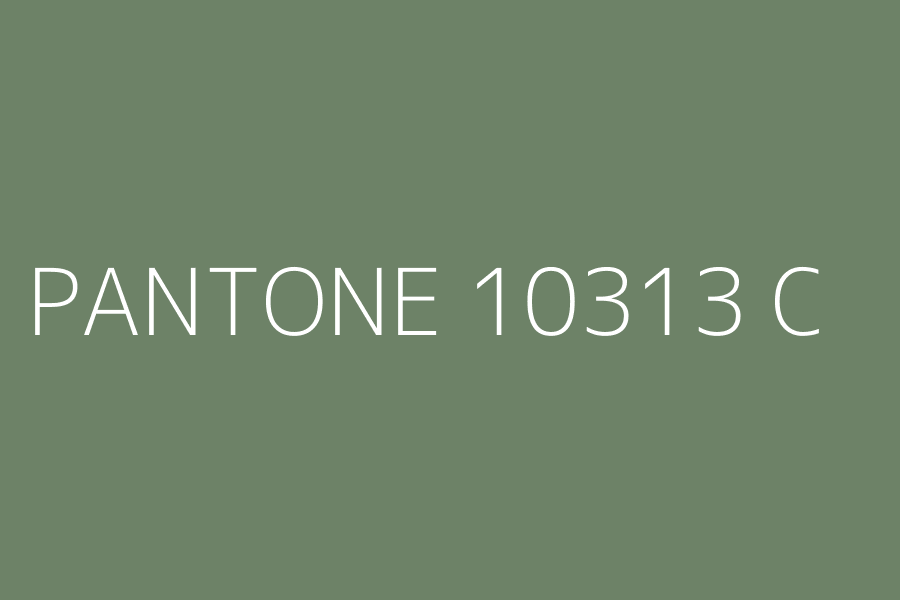 PANTONE 10313 C represented in HEX code #6D8267