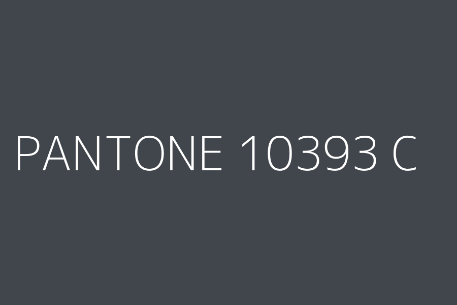 PANTONE 10393 C represented in HEX code #40464b