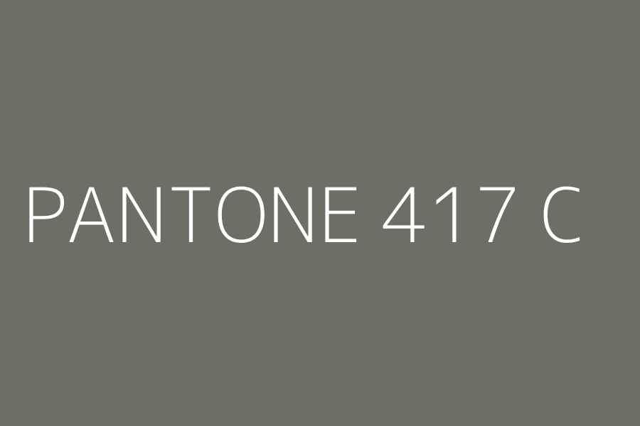 PANTONE 417 C represented in HEX code #6d6e65