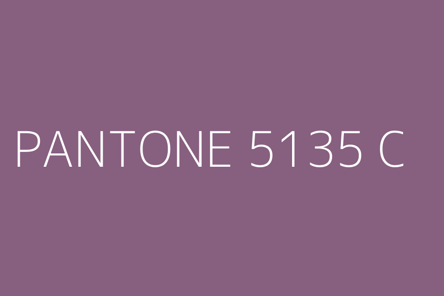 PANTONE 5135 C represented in HEX code #875f7f