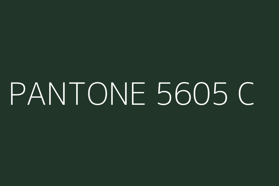 PANTONE 5605 C represented in HEX code #213629