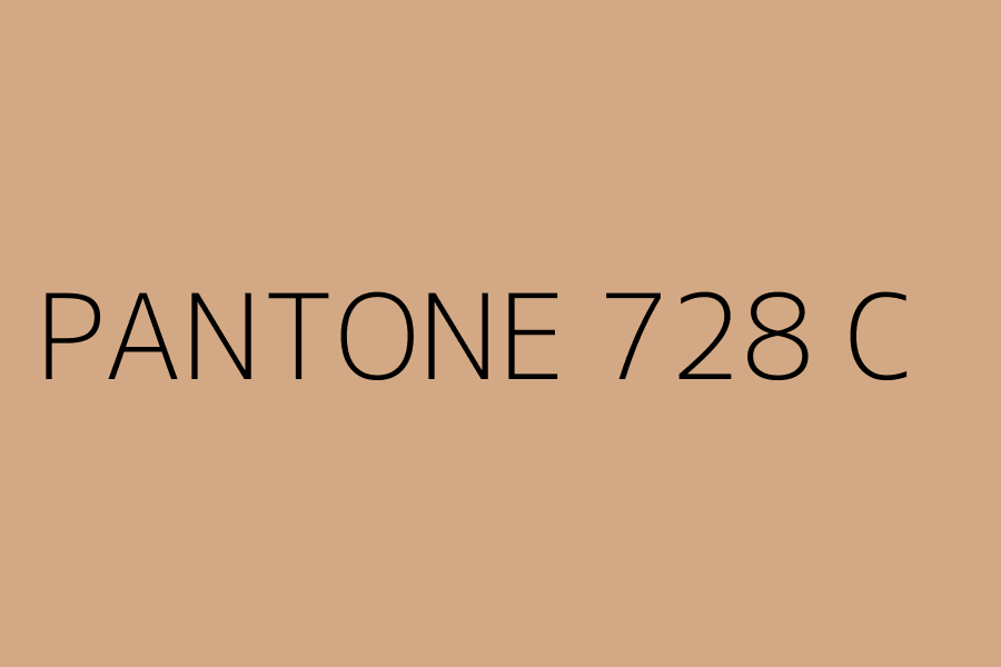 PANTONE 728 C represented in HEX code #D3A985