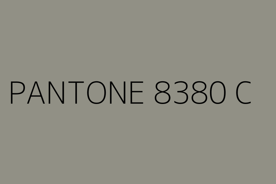PANTONE 8380 C represented in HEX code #919085