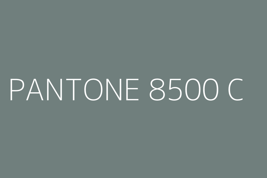 PANTONE 8500 C represented in HEX code #707f7d