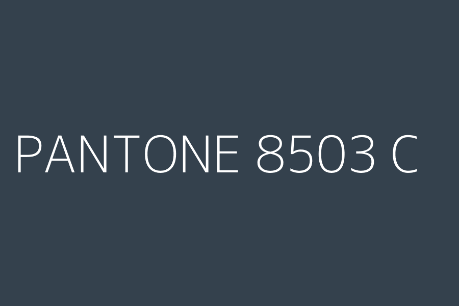 PANTONE 8503 C represented in HEX code #34414d