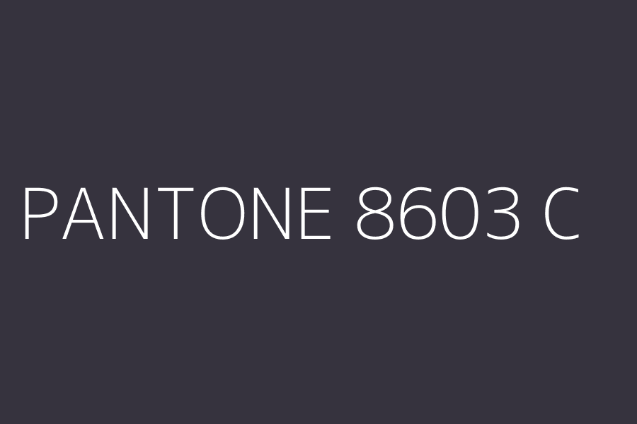 PANTONE 8603 C represented in HEX code #36333E