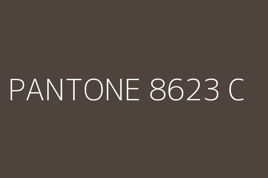 PANTONE 8623 C represented in HEX code #4E443D