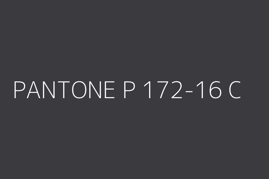 PANTONE P 172-16 C represented in HEX code #3b3a3e