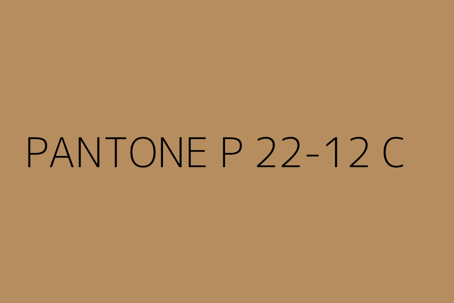 PANTONE P 22-12 C represented in HEX code #b68d5f