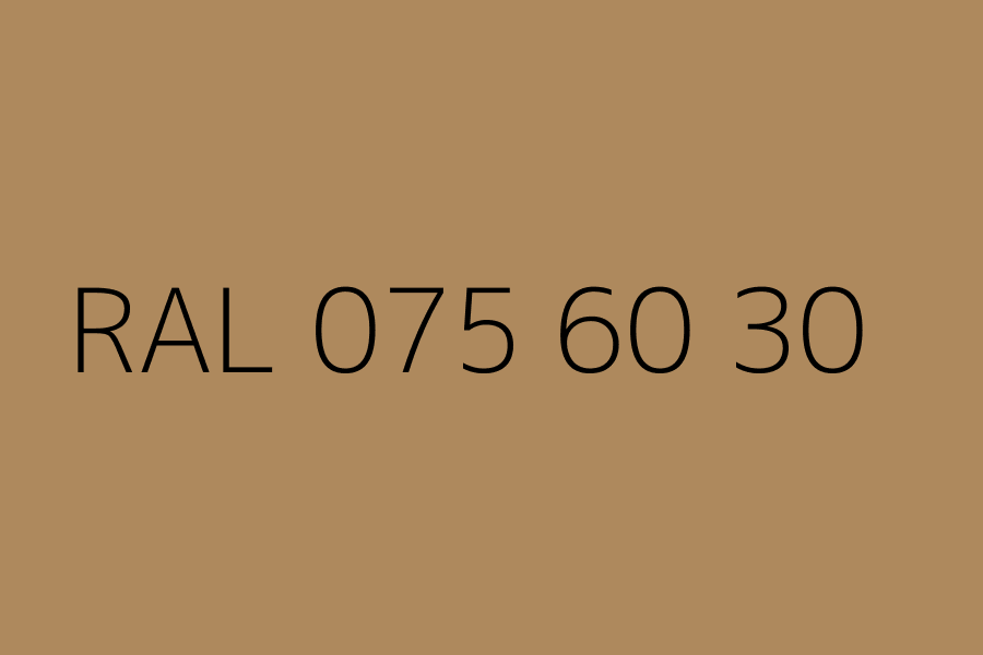 RAL 075 60 30 represented in HEX code #AE895D