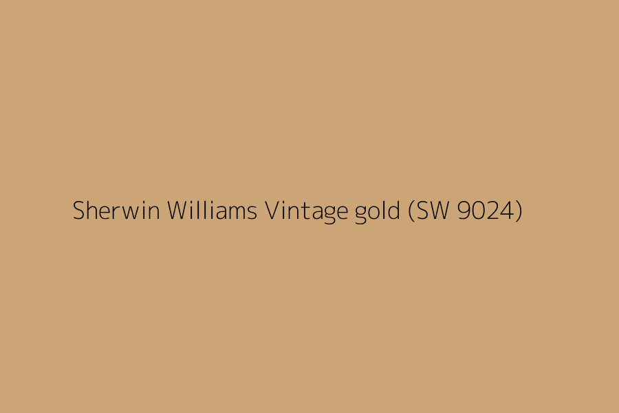 Sherwin Williams Vintage gold (SW 9024) represented in HEX code #cba576