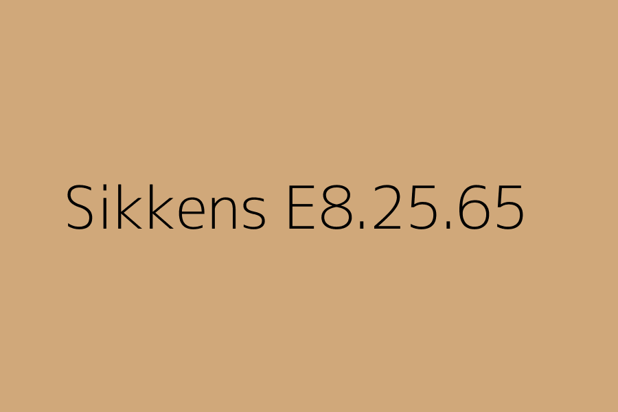 Sikkens E8.25.65 represented in HEX code #D0A87A