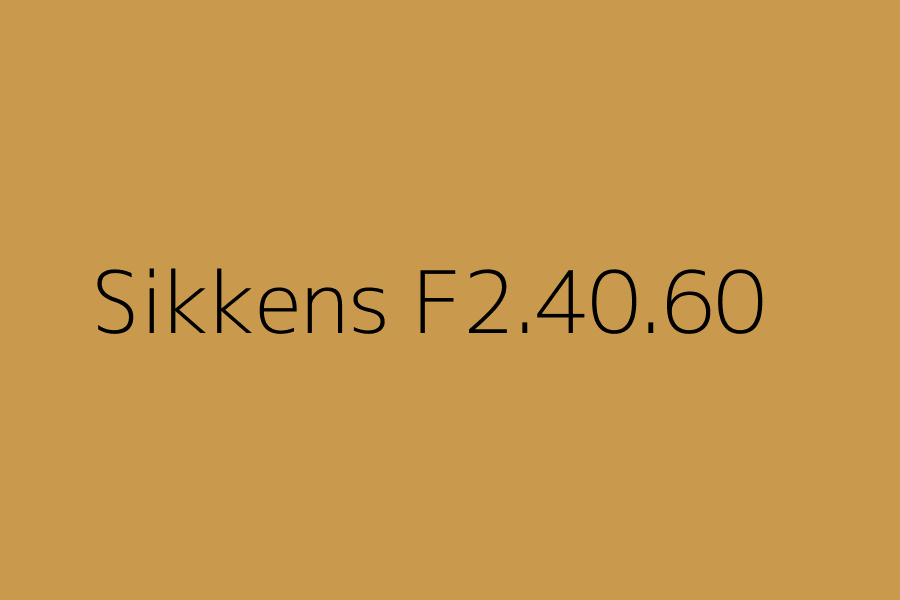 Sikkens F2.40.60 represented in HEX code #C99A4E