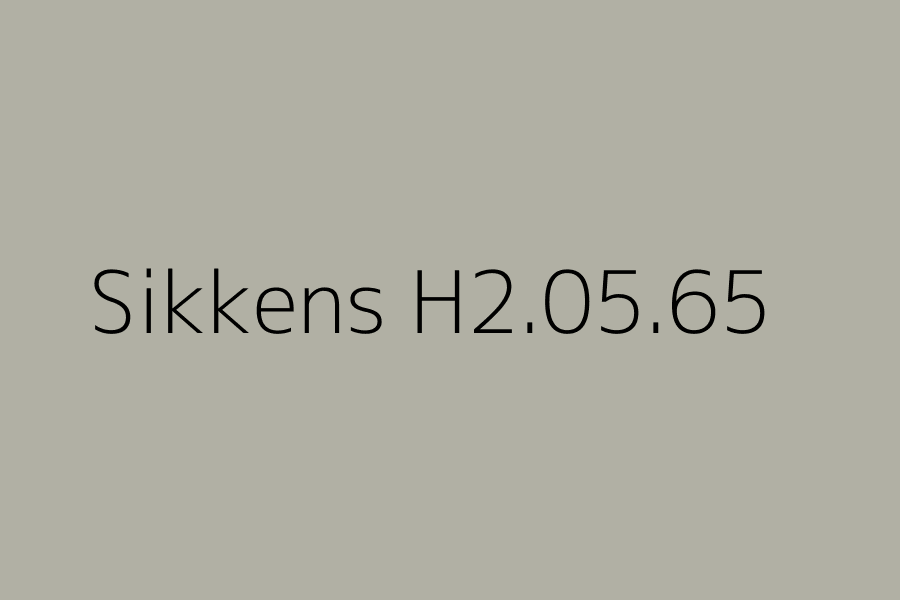 Sikkens H2.05.65 represented in HEX code #b1b0a4