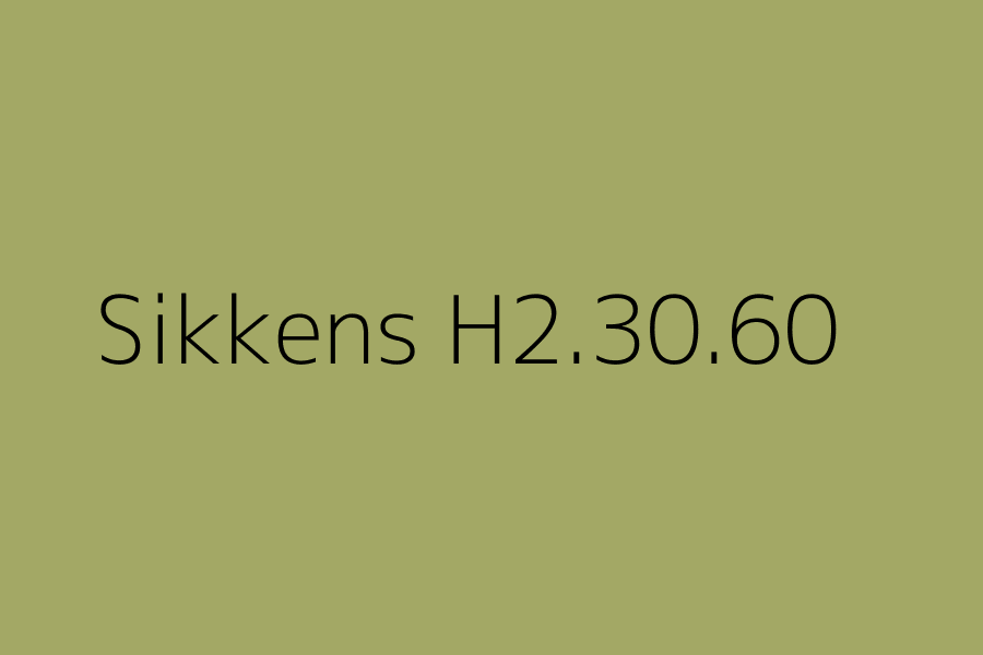 Sikkens H2.30.60 represented in HEX code #a3a865