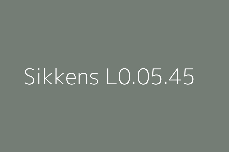 Sikkens L0.05.45 represented in HEX code #747D75