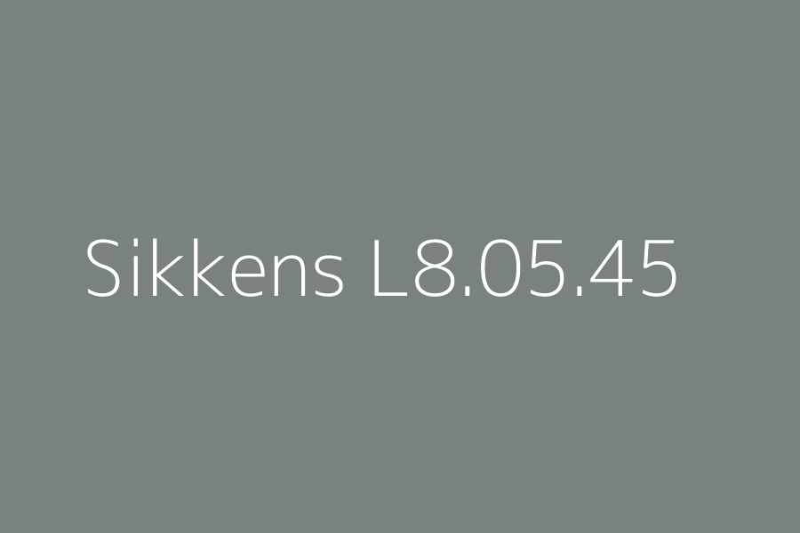 Sikkens L8.05.45 represented in HEX code #79827d