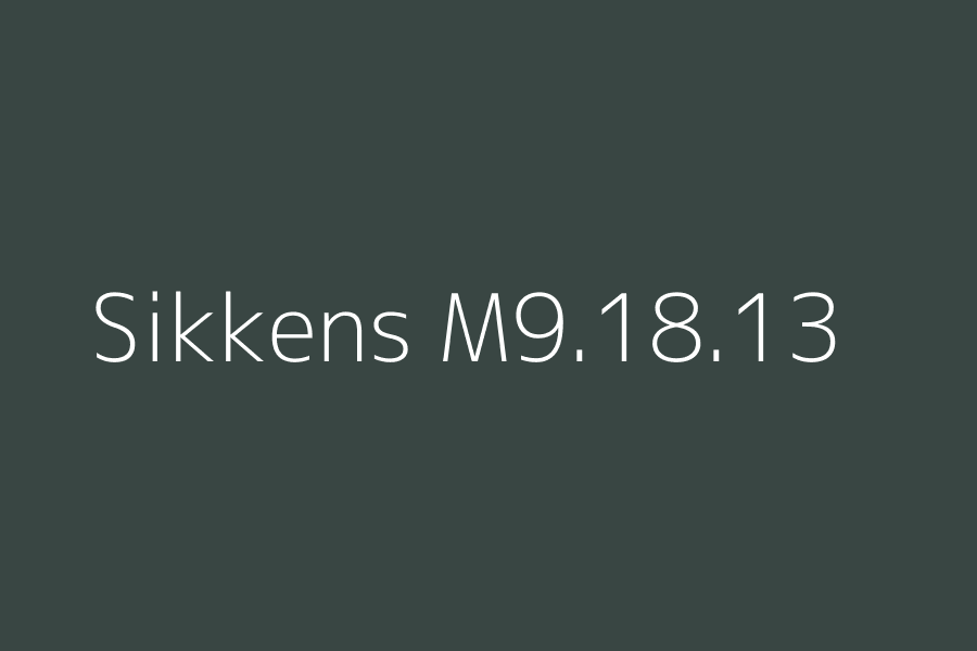 Sikkens M9.18.13 represented in HEX code #394643