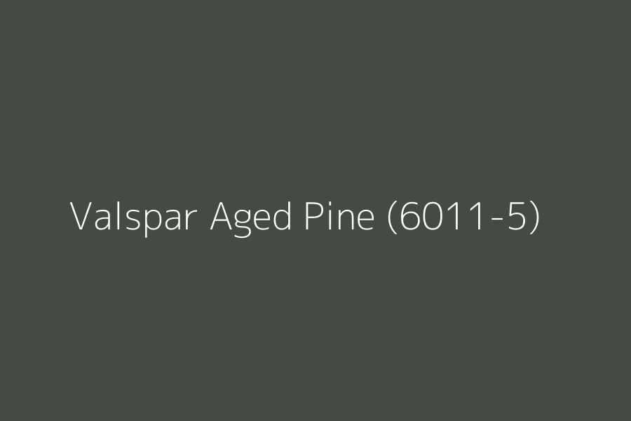Valspar Aged Pine (6011-5) represented in HEX code #444B43