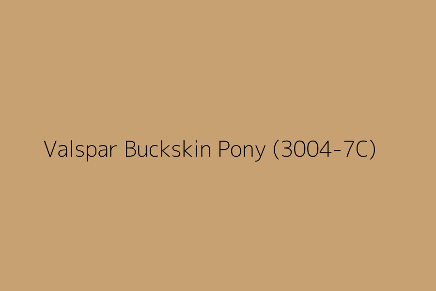 Valspar Buckskin Pony (3004-7C) represented in HEX code #c8a173