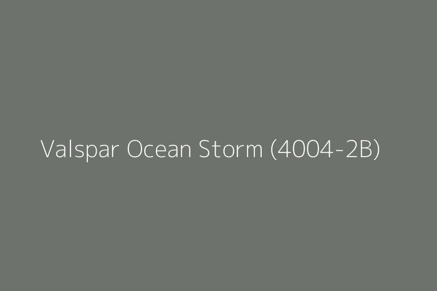 Valspar Ocean Storm (4004-2B) represented in HEX code #6f716f