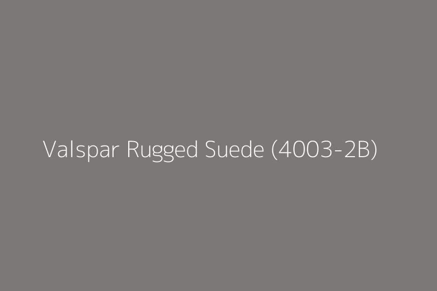 Valspar Rugged Suede (4003-2B) represented in HEX code #7b7875