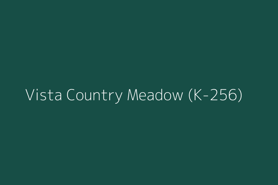 Vista Country Meadow (K-256) represented in HEX code #174e46