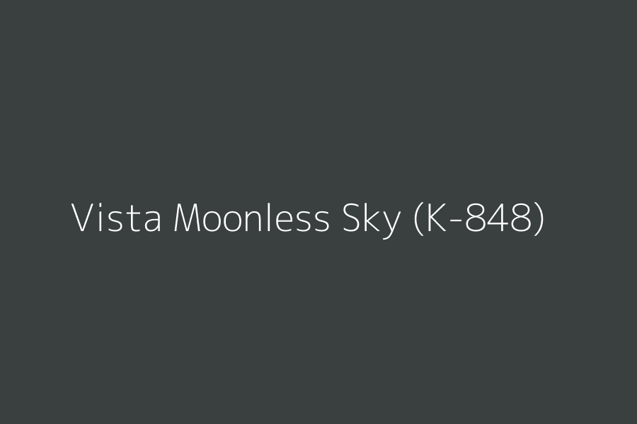 Vista Moonless Sky (K-848) represented in HEX code #3A4040