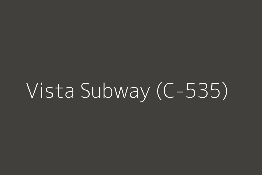 Vista Subway (C-535) represented in HEX code #41403d