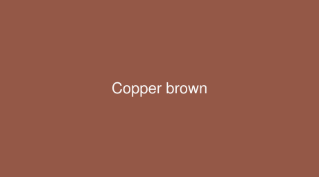 RAL Copper brown color (Code 8004)