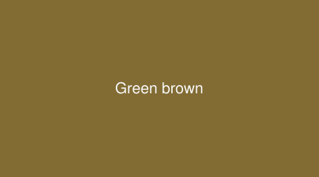 RAL Green brown color (Code 8000)