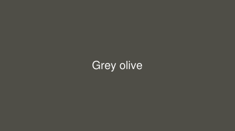 RAL Grey olive color (Code 6006)