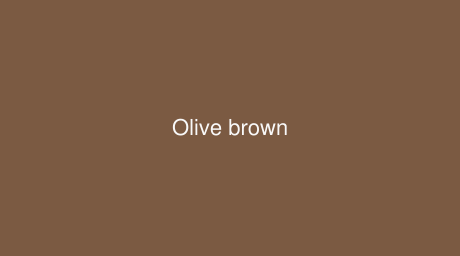 RAL Olive brown color (Code 8008)