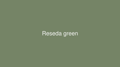 RAL Reseda green color (Code 6011)