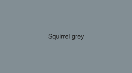 RAL Squirrel grey color (Code 7000)