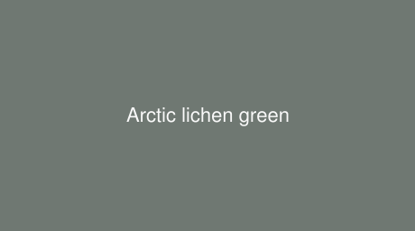 RAL Arctic lichen green color (Code 160 50 05)